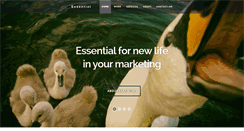 Desktop Screenshot of essential-creative.com