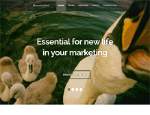 Tablet Screenshot of essential-creative.com